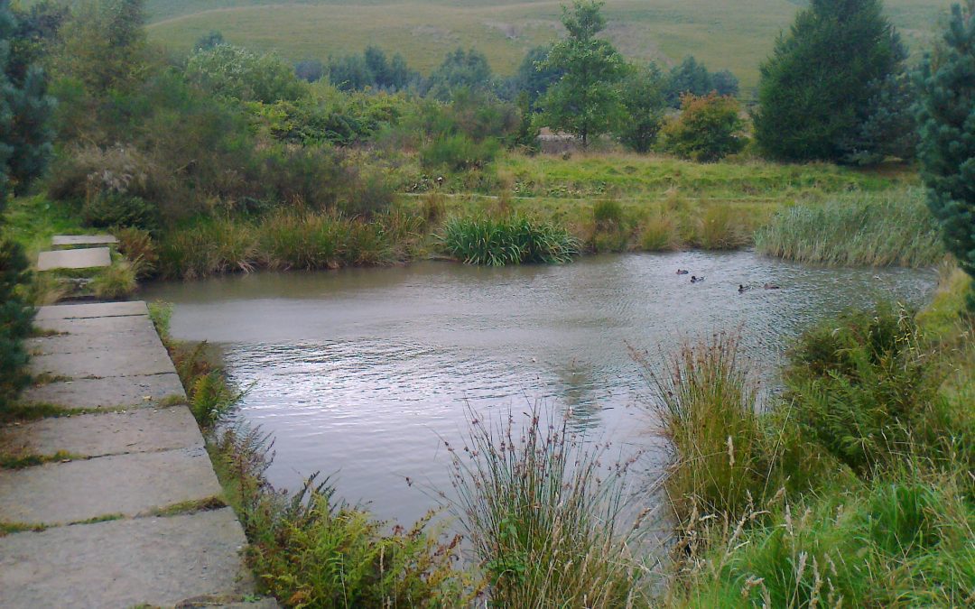 United Utilities – Cowm Reservoir Catchpit